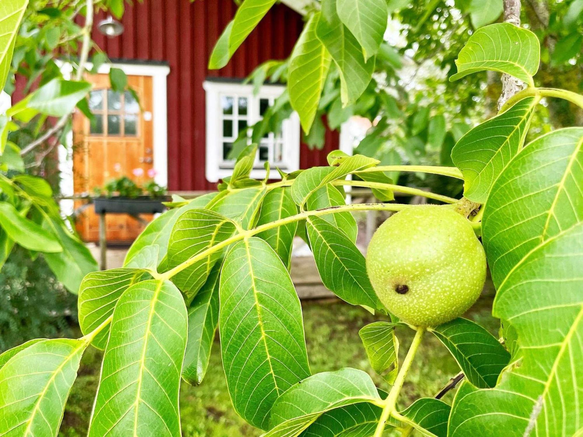 Holiday Home Malaretorpsvaegen Borgholm Extérieur photo